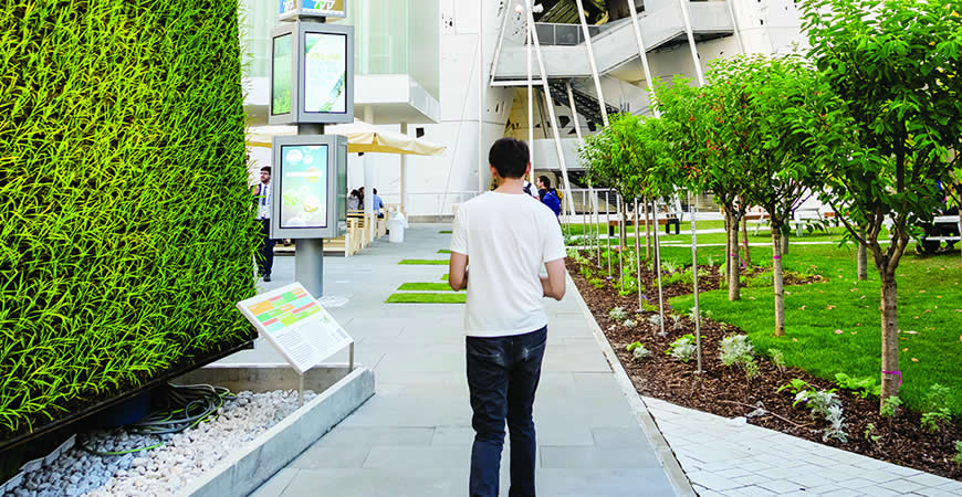 Diseño de áreas verdes